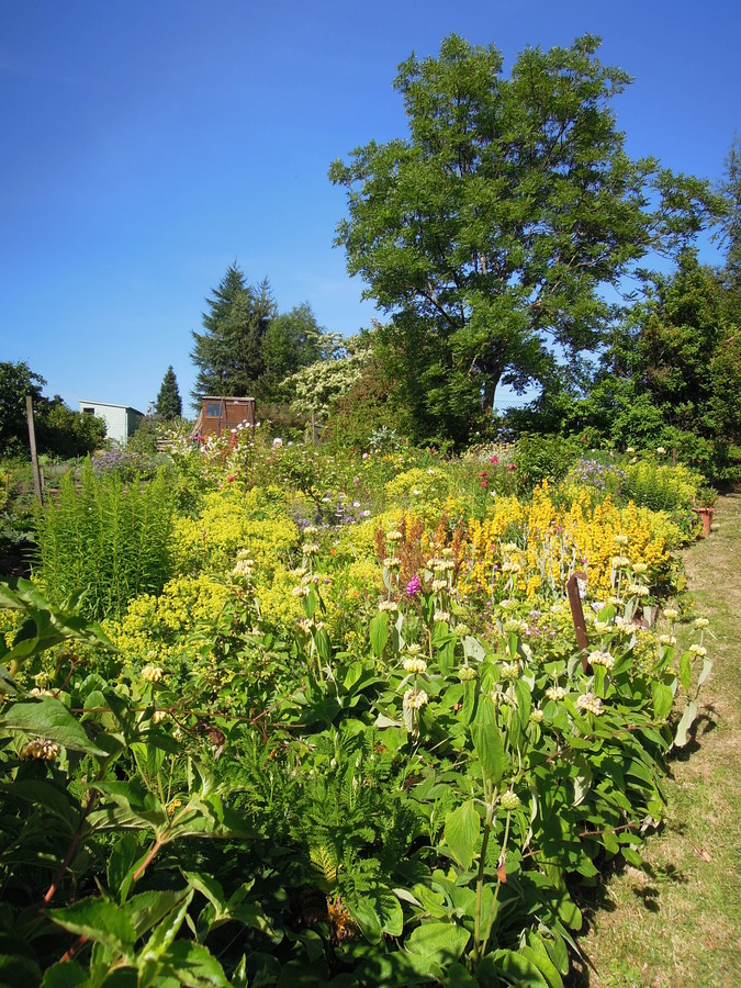 Field One Entrance